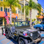 Jeeps, service member, military, camo, green, palms, flag