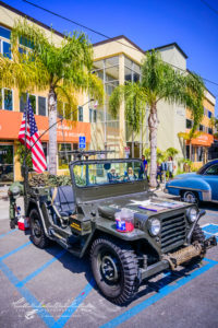 Jeeps, service member, military, camo, green, palms, flag