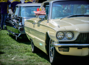 61, caddy, 1961, Cadillac, thunderbird