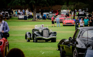 Concourse, Auburn Speedster, rare, Woodie's, San Marino Motor Classic, gull winged, MB, sl, 300, Corvette