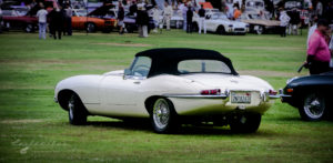 Convertible, UK, spoke wheels lawn, Jaguar, E-Type, classic, SMMC, Lacy Park, San Marino Motor Classic