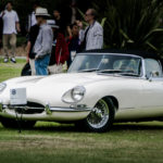 San Marino Classic, lacy park, fun, car show, convertible, e-type, jag, jaguar