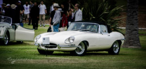 San Marino Classic, lacy park, fun, car show, convertible, e-type, jag, jaguar