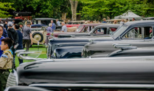 Concourse, Hood ornaments, hoods,class,timeless, rare, Packard's, Cadillac's, San Marino Motor Classic