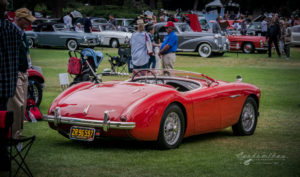 Concourse, Austin Healy, rare, classics, San Marino Motor Classic