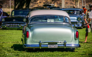 chevy, 54, rear view, park, lawn, trees,